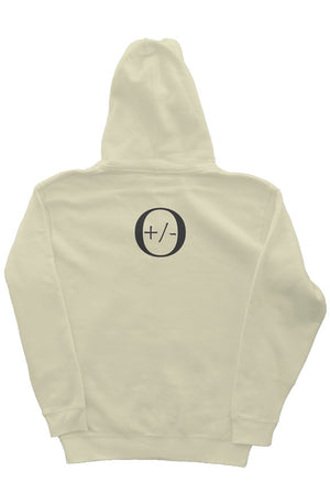 PX Magic heavyweight pullover hoodie