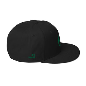 PX +/- Money Green Snapback